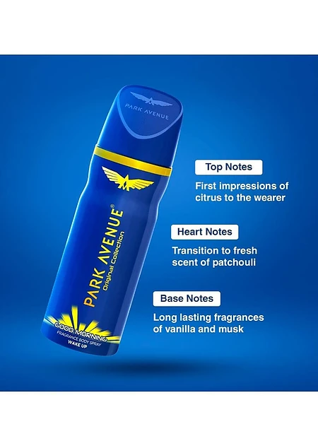 Image of Park Avenue Storm Deodorant Spray - 2